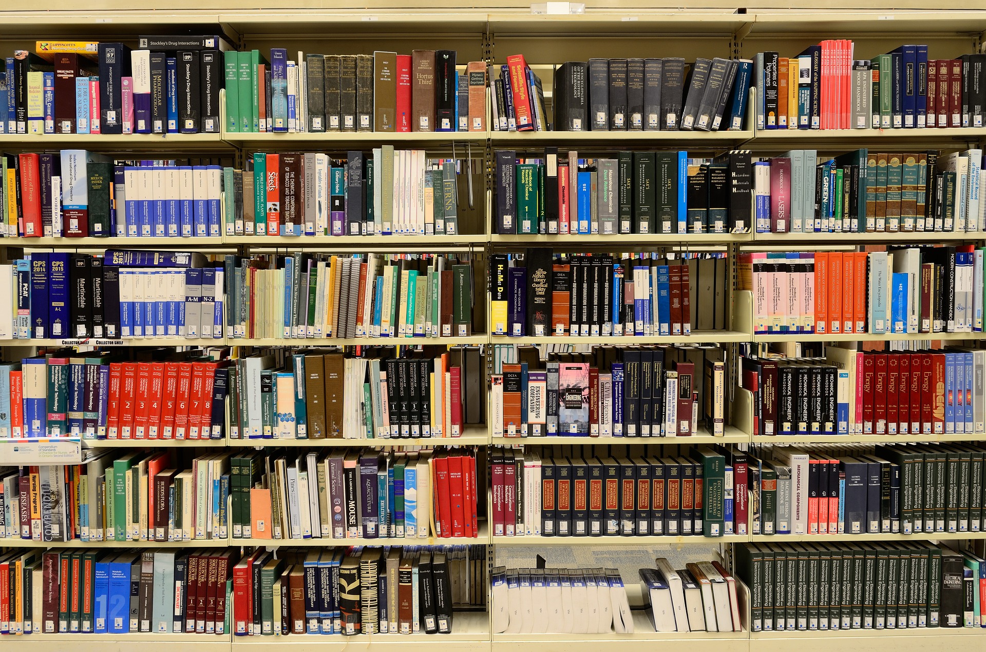 Regal voller Bücher in einer Bibliothek