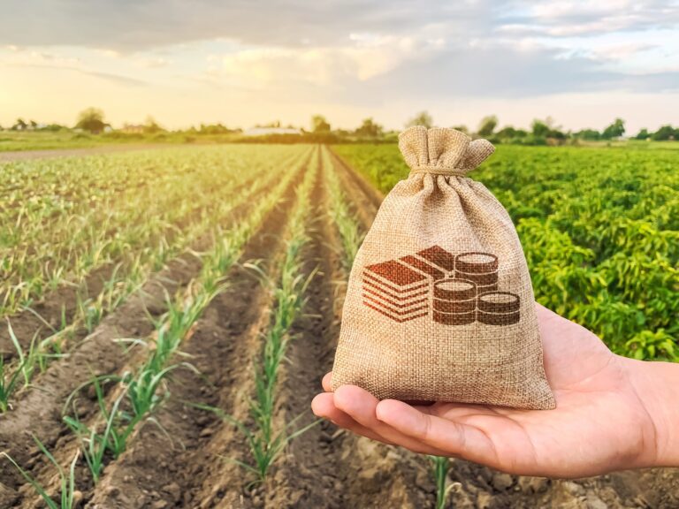 Vertiefte Einblicke in die BFH-Urteile zur Erbschaftssteuer in der Landwirtschaft