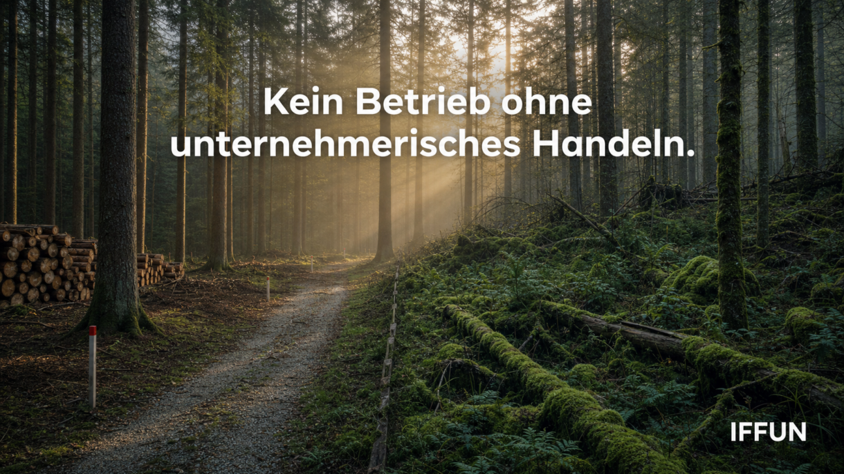 Waldweg mit Sonnenstrahlen, Holzstapeln und Schriftzug